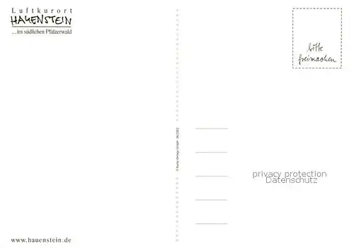 AK / Ansichtskarte Hauenstein_Pfalz Panorama Schuhmacher Denkmal Hauenstein_Pfalz