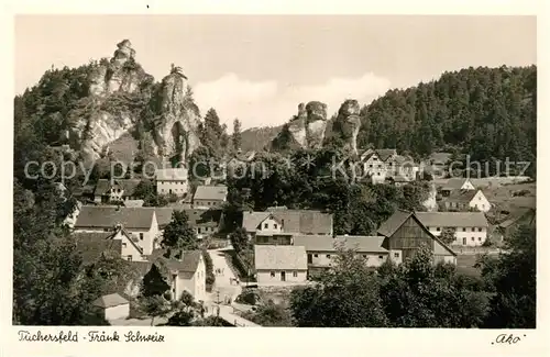 AK / Ansichtskarte Tuechersfeld Panorama Tuechersfeld