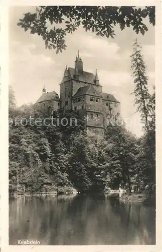 AK / Ansichtskarte Kriebstein Burg Kriebstein