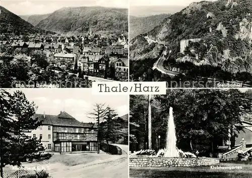 AK / Ansichtskarte Thale_Harz Lindenberg Steinbachtal Klubhaus Klubhausgarten Thale_Harz