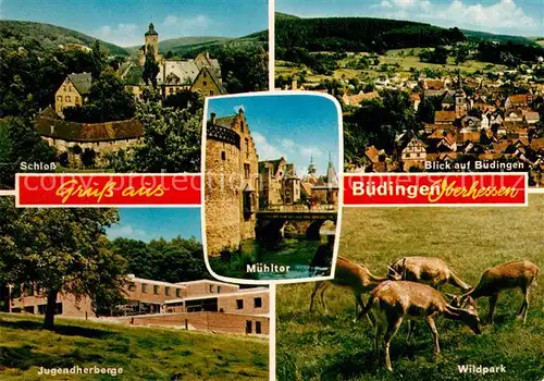 AK / Ansichtskarte Buedingen_Hessen Schloss Jugendherberge Wildpark Panorama Muehltor Buedingen Hessen