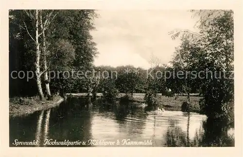 AK / Ansichtskarte Spreewald Hochwaldpartie und Muehlspree bei Kannemuehle Spreewald