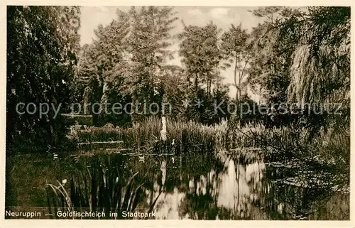 AK / Ansichtskarte Neuruppin Goldfischteich im Stadtpark Neuruppin