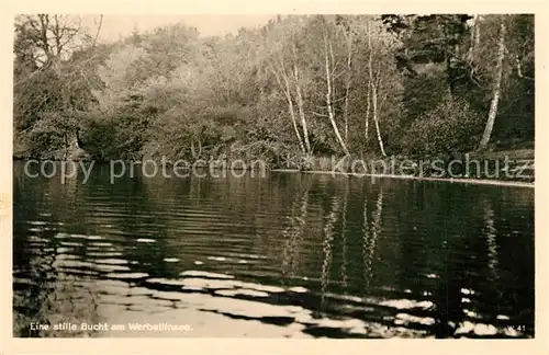 AK / Ansichtskarte Werbellinsee Altenhof Stille Bucht Werbellinsee Altenhof