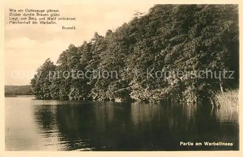 AK / Ansichtskarte Werbellinsee Altenhof Partie am Werbellinsee Werbellinsee Altenhof