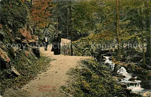AK / Ansichtskarte Ilsenburg_Harz Ilsefaelle am Bremerweg Ilsenburg Harz