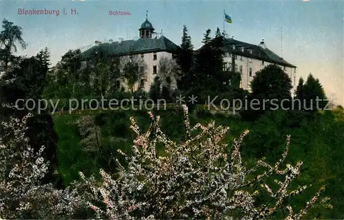 AK / Ansichtskarte Blankenburg_Harz Schloss Blankenburg_Harz