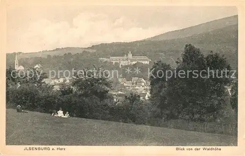 AK / Ansichtskarte Ilsenburg_Harz Blick von der Waldhoehe Ilsenburg Harz