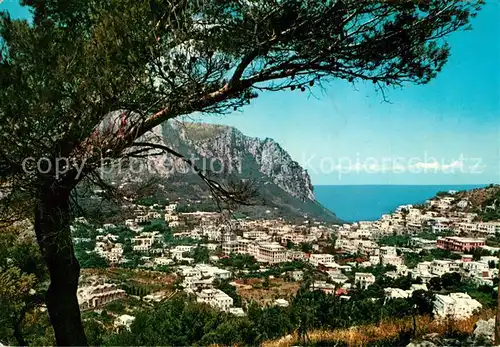 Capri Panorama Capri