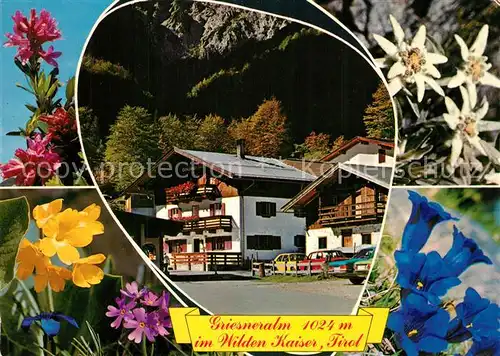 Kirchdorf_Tirol Unterkunftshaus Griesneralm Alpenflora Naturschutzgebiet Wilder Kaiser Kirchdorf Tirol