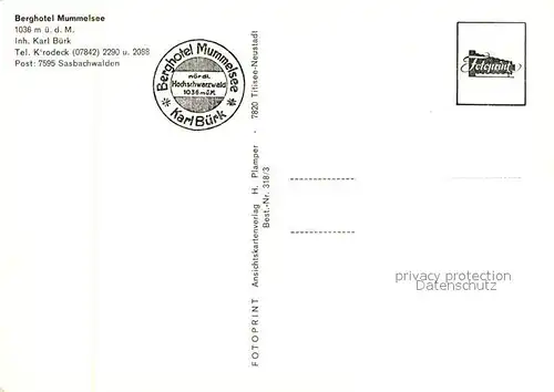 AK / Ansichtskarte Mummelsee Berghotel Mummelsee