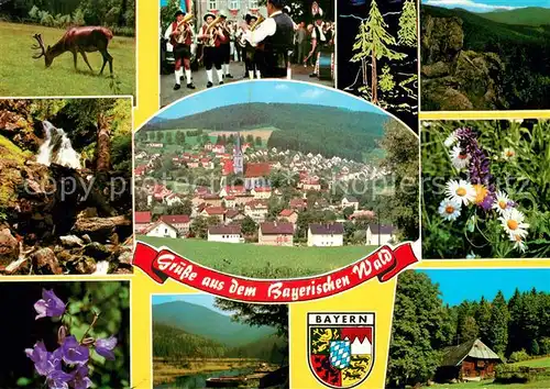 AK / Ansichtskarte Teisnach Musikkapelle Panorama  Teisnach