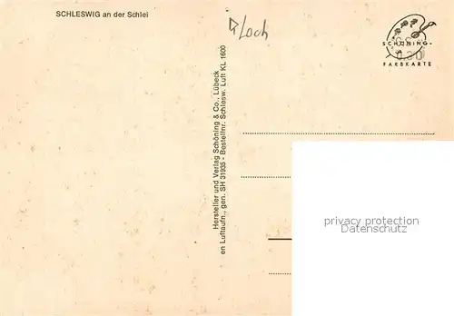 AK / Ansichtskarte Schleswig_Schlei Fliegeraufnahme Schleswig_Schlei