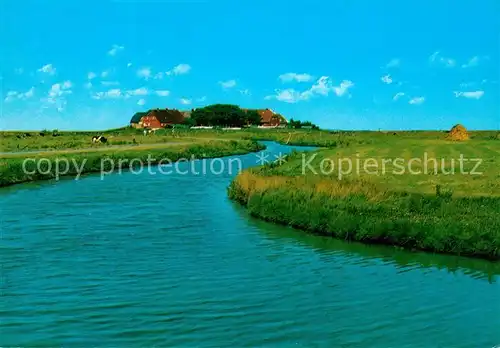 AK / Ansichtskarte Hallig_Hooge Backenswerft Priel Hallig Hooge