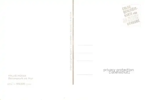 AK / Ansichtskarte Hallig_Hooge Backenswerft Priel Hallig Hooge