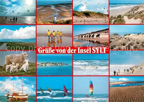 AK / Ansichtskarte Insel_Sylt Strand Duenen Schafe Pferde Wattwanderer Insel_Sylt