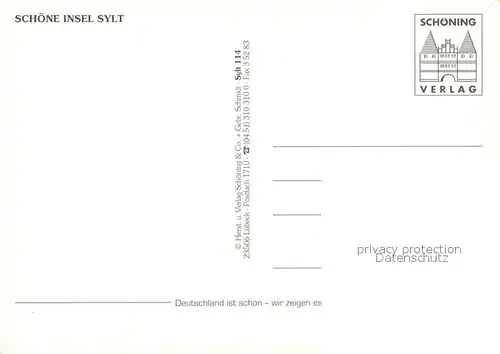 AK / Ansichtskarte Insel_Sylt Strand Duenen Schafe Pferde Wattwanderer Insel_Sylt