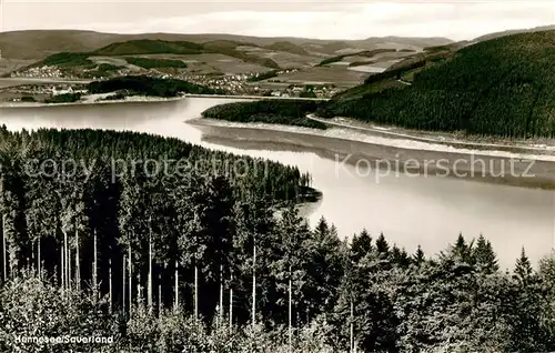 AK / Ansichtskarte Hennesee_Meschede Panorama Hennesee Meschede