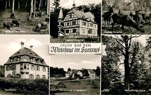 AK / Ansichtskarte Rohrbrunn Wirtshaus im Spessart Wildschweinrotte Jagdschloesschen  Rohrbrunn