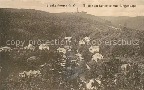 AK / Ansichtskarte Blankenburg_Harz Blick vom Schlosse zum Ziegenkopf Blankenburg_Harz