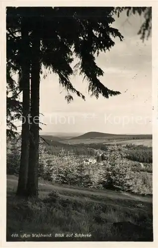 AK / Ansichtskarte Schierke_Harz Am Waldrand Schierke Harz