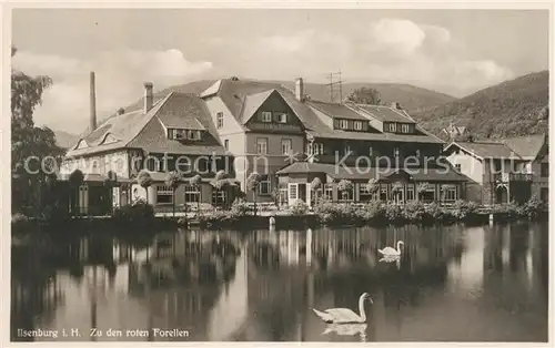 AK / Ansichtskarte Ilsenburg_Harz Zu den roten Forellen Ilsenburg Harz