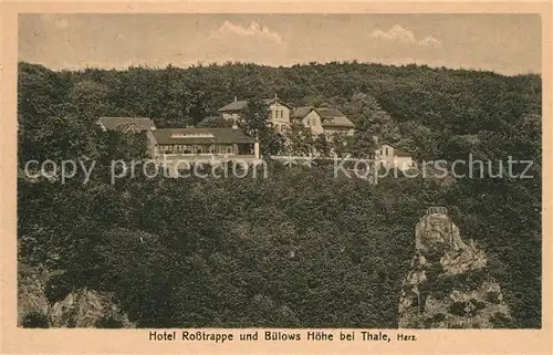 AK / Ansichtskarte Thale_Harz Hotel Rosstrappe und Buelows  Thale_Harz