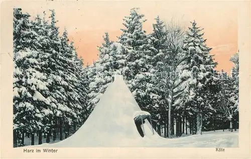 AK / Ansichtskarte Harz_Region Winteridyll Harz Region