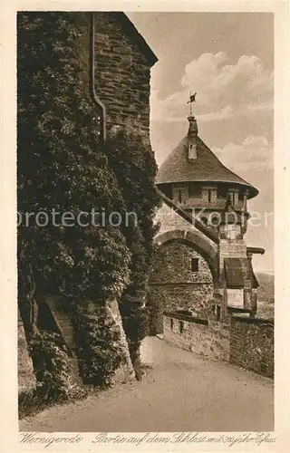 AK / Ansichtskarte Wernigerode_Harz Partie auf dem Schloss mit 300jaehrigem Efeu Wernigerode Harz