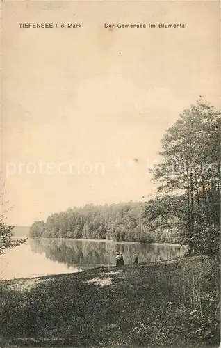 AK / Ansichtskarte Tiefensee_Bad_Freienwalde Der Gamensee im Blumental Tiefensee_Bad_Freienwalde