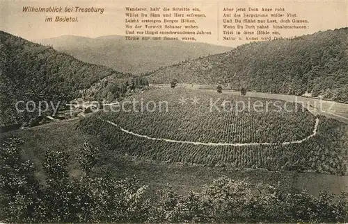 AK / Ansichtskarte Treseburg_Harz Wilhelmsblick im Bodetal Treseburg Harz