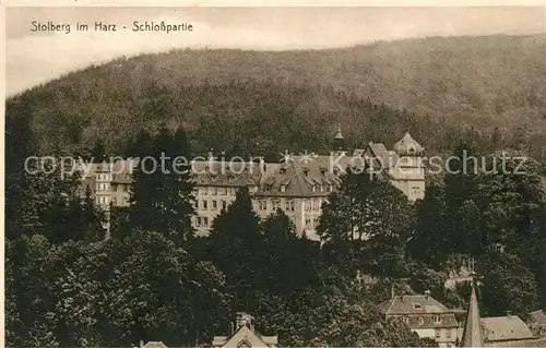 AK / Ansichtskarte Stolberg_Harz Schlosspartie Stolberg Harz