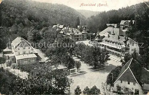 AK / Ansichtskarte Alexisbad_Harz Teilansicht Alexisbad_Harz