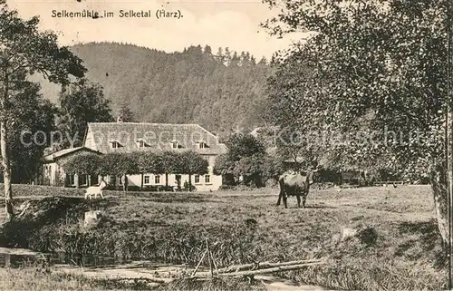 AK / Ansichtskarte Selketal Selkemuehle Selketal