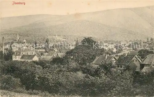 AK / Ansichtskarte Ilsenburg_Harz Panorama Ilsenburg Harz