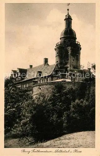 AK / Ansichtskarte Selketal Burg Falkenstein Selketal