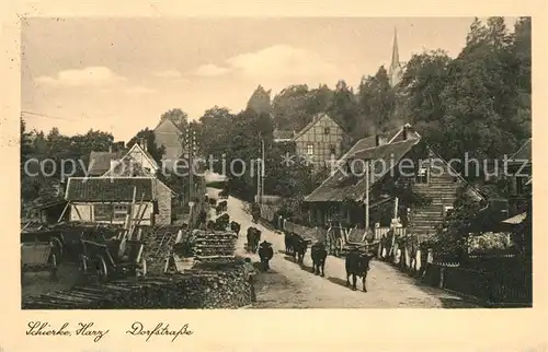 AK / Ansichtskarte Schierke_Harz Dorfstrasse Schierke Harz