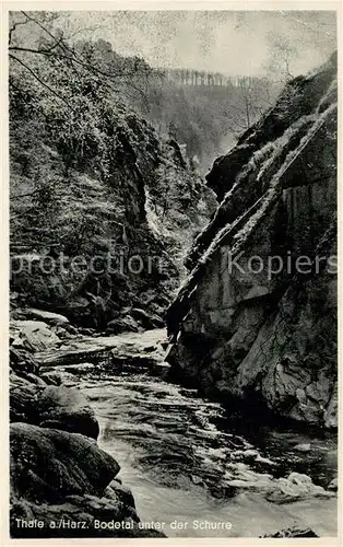 AK / Ansichtskarte Thale_Harz Bodetal unter der Schurre Thale_Harz