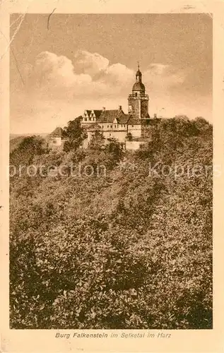 AK / Ansichtskarte Selketal Burg Falkenstein Selketal