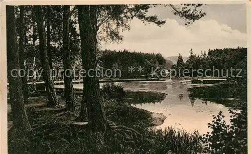 AK / Ansichtskarte Gernrode_Harz Am neuen Teich Gernrode Harz