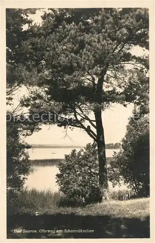 AK / Ansichtskarte Bad_Saarow Uferweg am Scharmuetzelsee Bad_Saarow