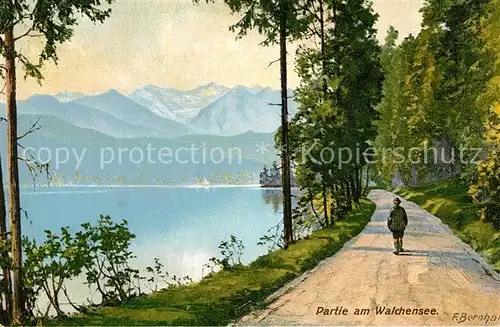 AK / Ansichtskarte Walchensee Seepanorama Uferweg Walchensee