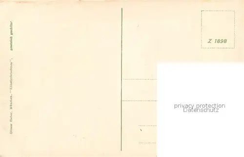 AK / Ansichtskarte Walchensee mit Wettersteingebirge Uferweg Walchensee