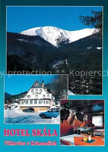 AK / Ansichtskarte Vitkovice Hotel Skala Vitkovice