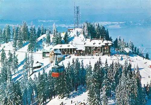 AK / Ansichtskarte Poiana_Brasov_Siebenbuergen Cabana Postavaru Winterlandschaft Poiana_Brasov