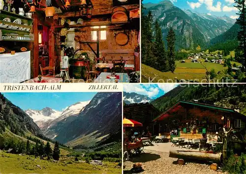 AK / Ansichtskarte Zillertal Tristenbach Alm Panorama Zillertal