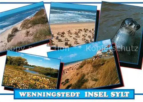 AK / Ansichtskarte Wenningstedt_Sylt Strand Seeloewe Wenningstedt_Sylt