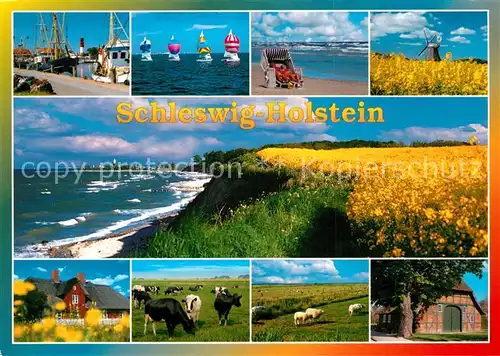 AK / Ansichtskarte Schleswig_Holstein Hafen Strand Reetdachhaeuser Windmuehle Kuehe Schafe Schleswig_Holstein