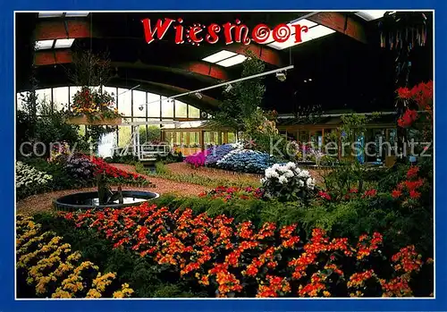 AK / Ansichtskarte Wiesmoor Gewaechshaus Wiesmoor