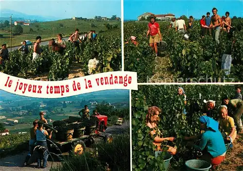 AK / Ansichtskarte Savigny les Beaune Le joyeux temps de la vendange Savigny les Beaune